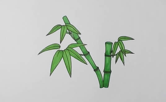 漂亮的竹子简笔画