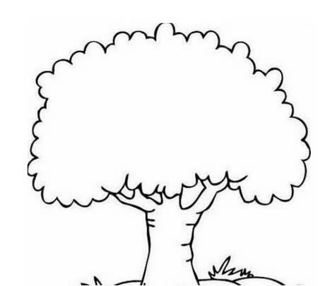 夏天的大树简笔画