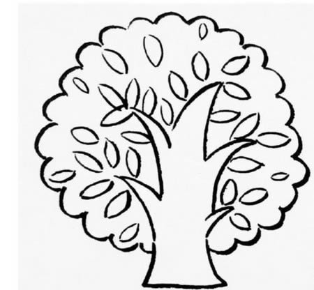 夏天的大树简笔画