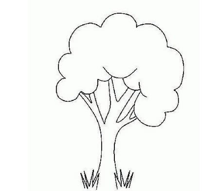 夏天的大树简笔画