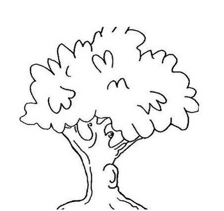 夏天的大树简笔画