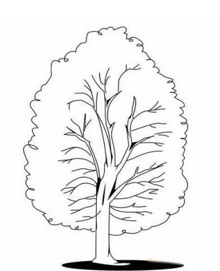 夏天的大树简笔画