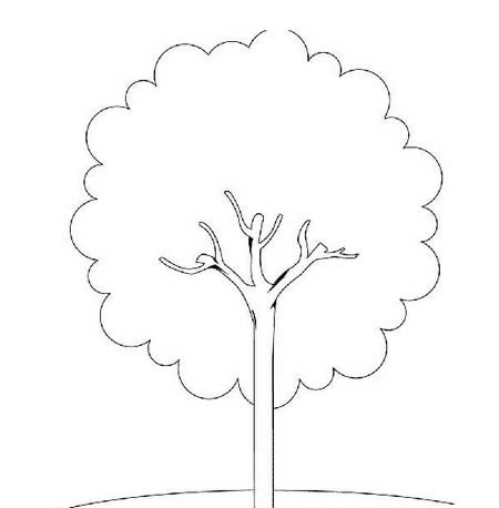 夏天的大树简笔画