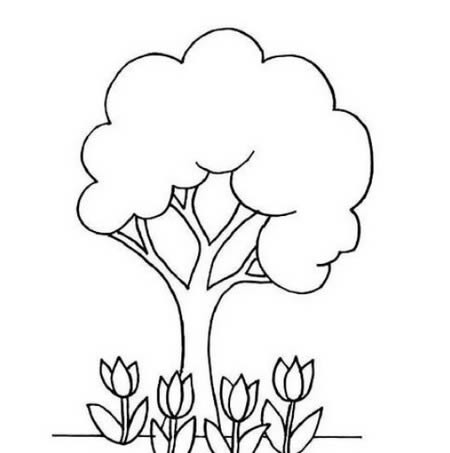 夏天的大树简笔画