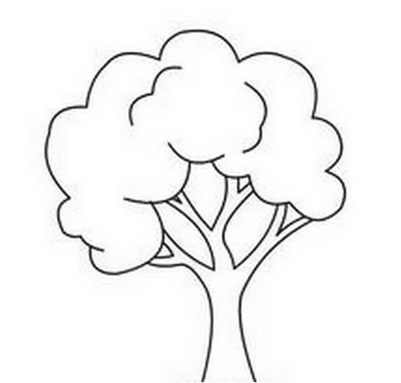 夏天的大树简笔画