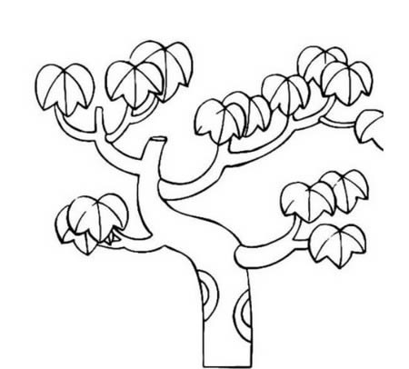 夏天的大树简笔画