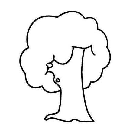 夏天的大树简笔画