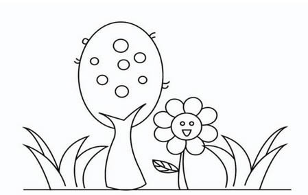 分享一些花草和树木简笔画