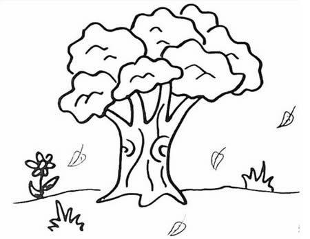 分享一些花草和树木简笔画