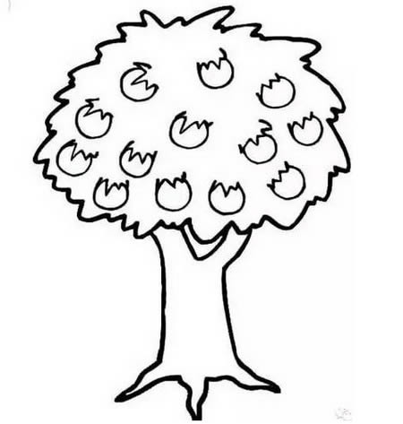 分享一些花草和树木简笔画