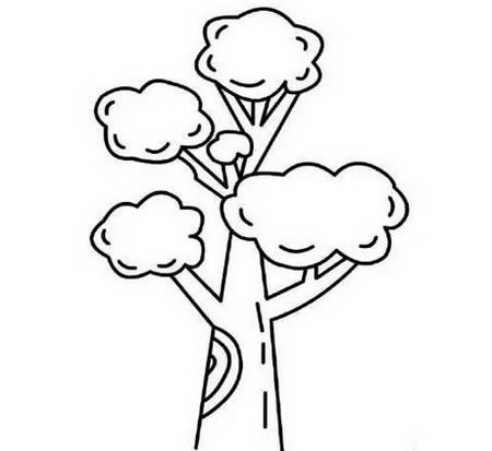 分享一些花草和树木简笔画