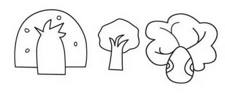 分享一些花草和树木简笔画