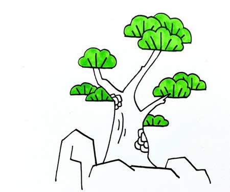松柏简笔画步骤
