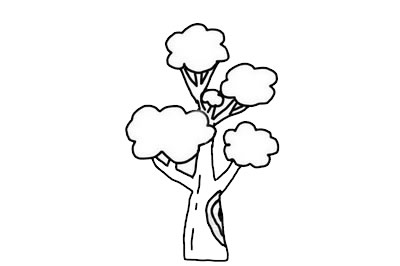 简单漂亮的大树简笔画