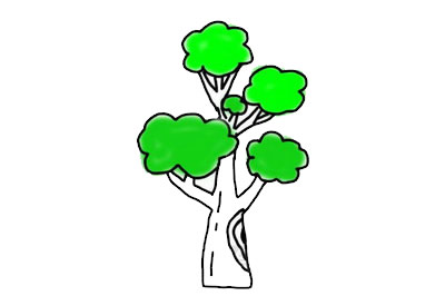 简单漂亮的大树简笔画