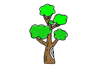 简单漂亮的大树简笔画