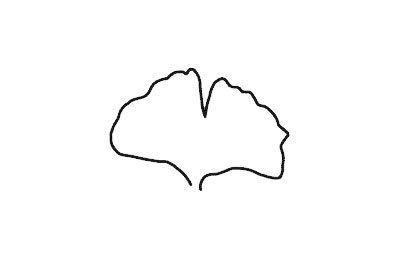 鱼尾葵叶简笔画步骤