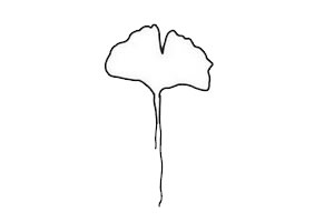 鱼尾葵叶简笔画步骤