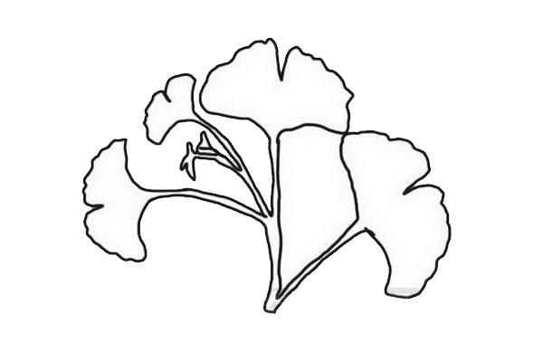 鱼尾葵叶简笔画步骤