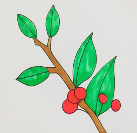 冬青树儿童简笔画