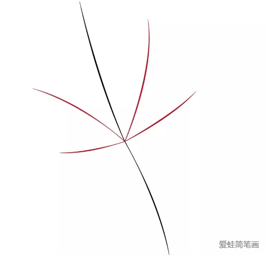 秋天的树叶也很漂亮哦