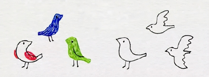 小鸟基础到进阶的画法