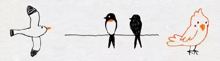 小鸟基础到进阶的画法