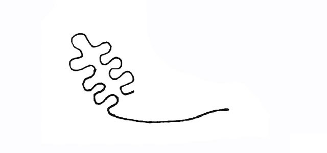 带颜色的珊瑚简笔画怎么画