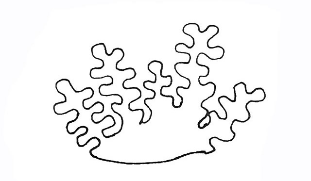 带颜色的珊瑚简笔画怎么画