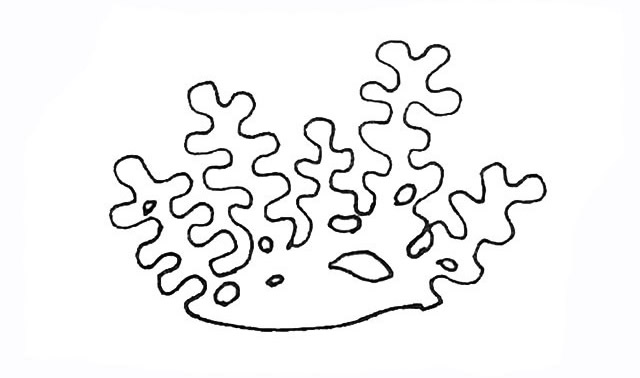 带颜色的珊瑚简笔画怎么画