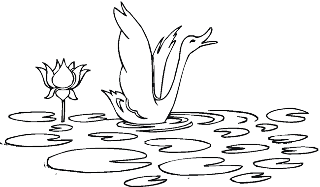 荷塘里的天鹅简笔画