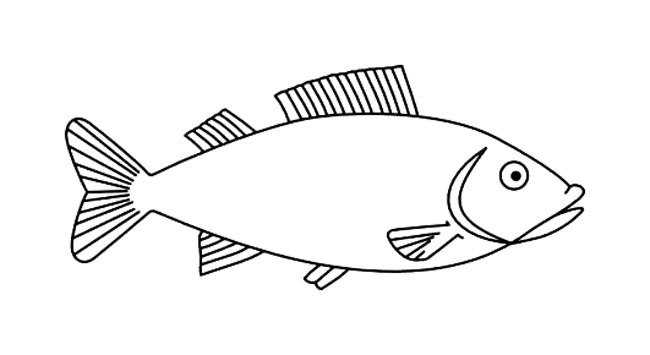 关于鱼儿的简笔画