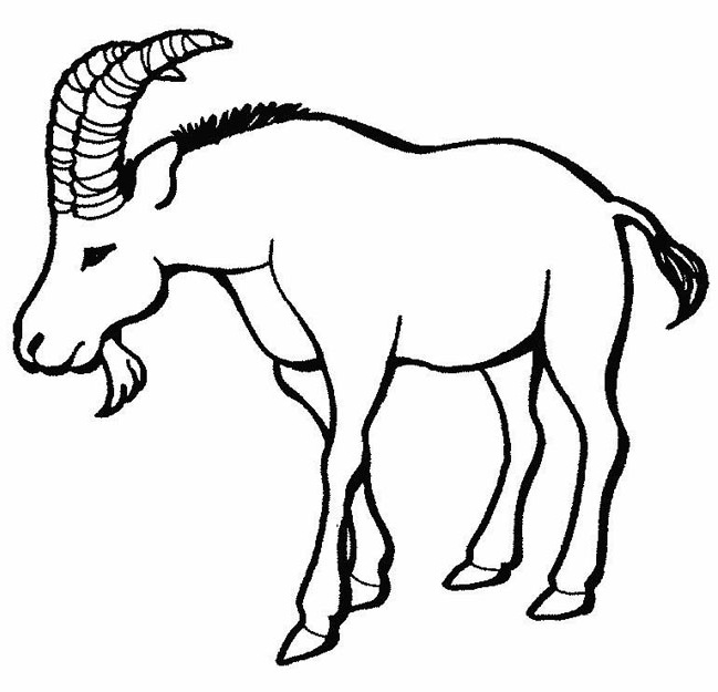 有胡子的山羊简笔画