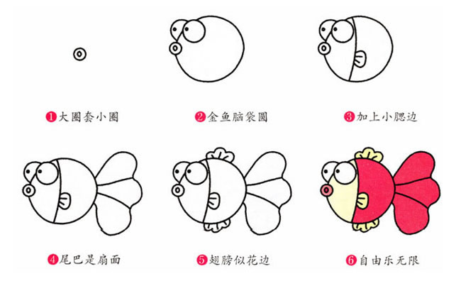 漂亮的观赏鱼金鱼简笔画