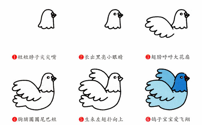 带颜色的鸽子简笔画教程