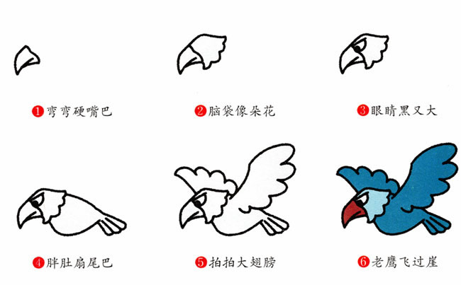 带颜色的老鹰简笔画教程