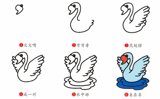 带颜色的天鹅简笔画步骤