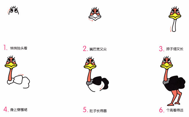带颜色的鸵鸟简笔画
