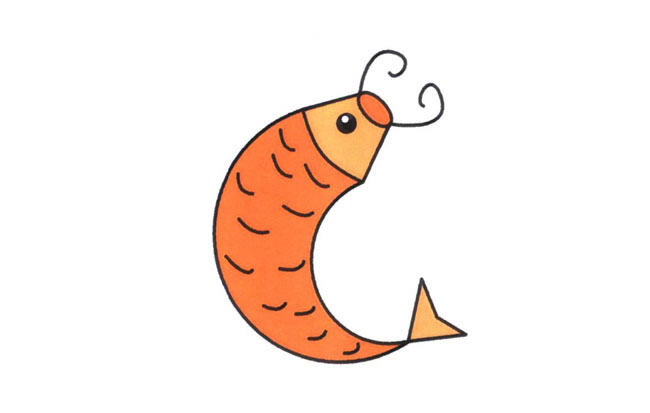 涂色的鲤鱼简笔画