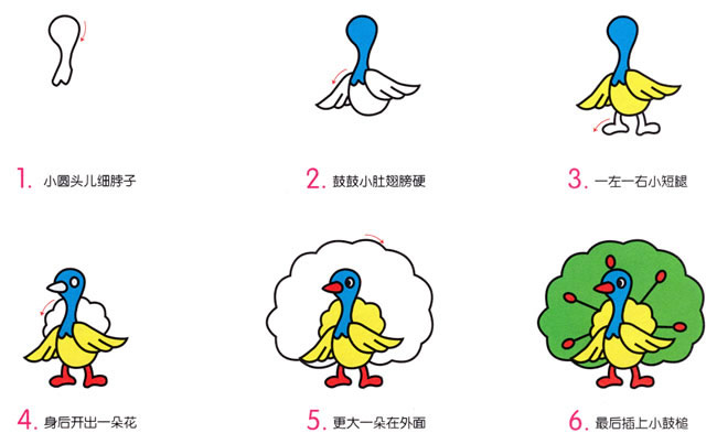 涂色的孔雀简笔画步骤