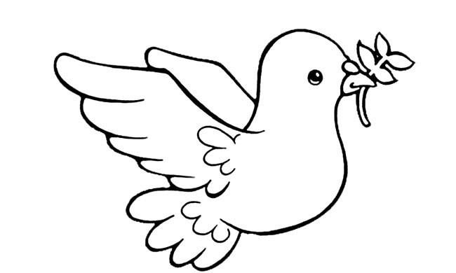 代表和平的鸽子简笔画