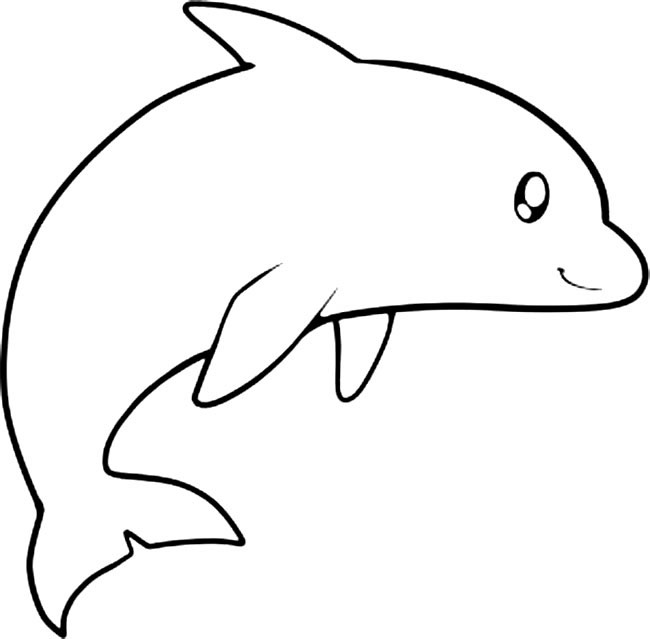 简单易学的海豚怎么画
