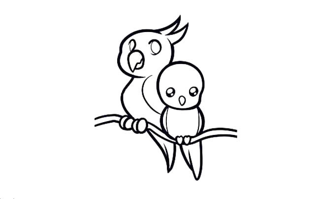 两款可爱的鹦鹉简笔画