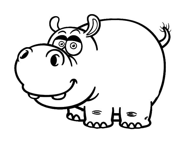 蠢萌的河马简笔画