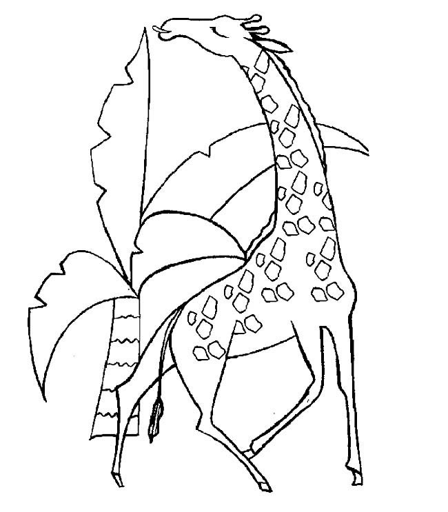 一组关于长颈鹿的简笔画