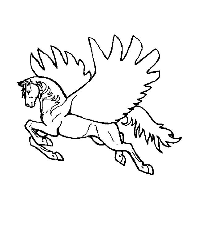 关于天马的简笔画