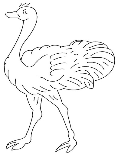 鸵鸟怎么画比较简单好看