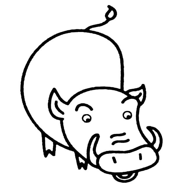 关于野猪的儿童简笔画