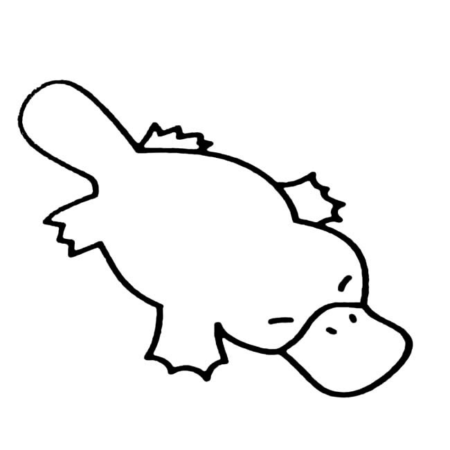 简单的鸭嘴兽怎么画