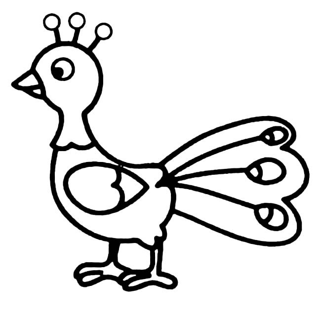 孔雀怎么画简单又好看